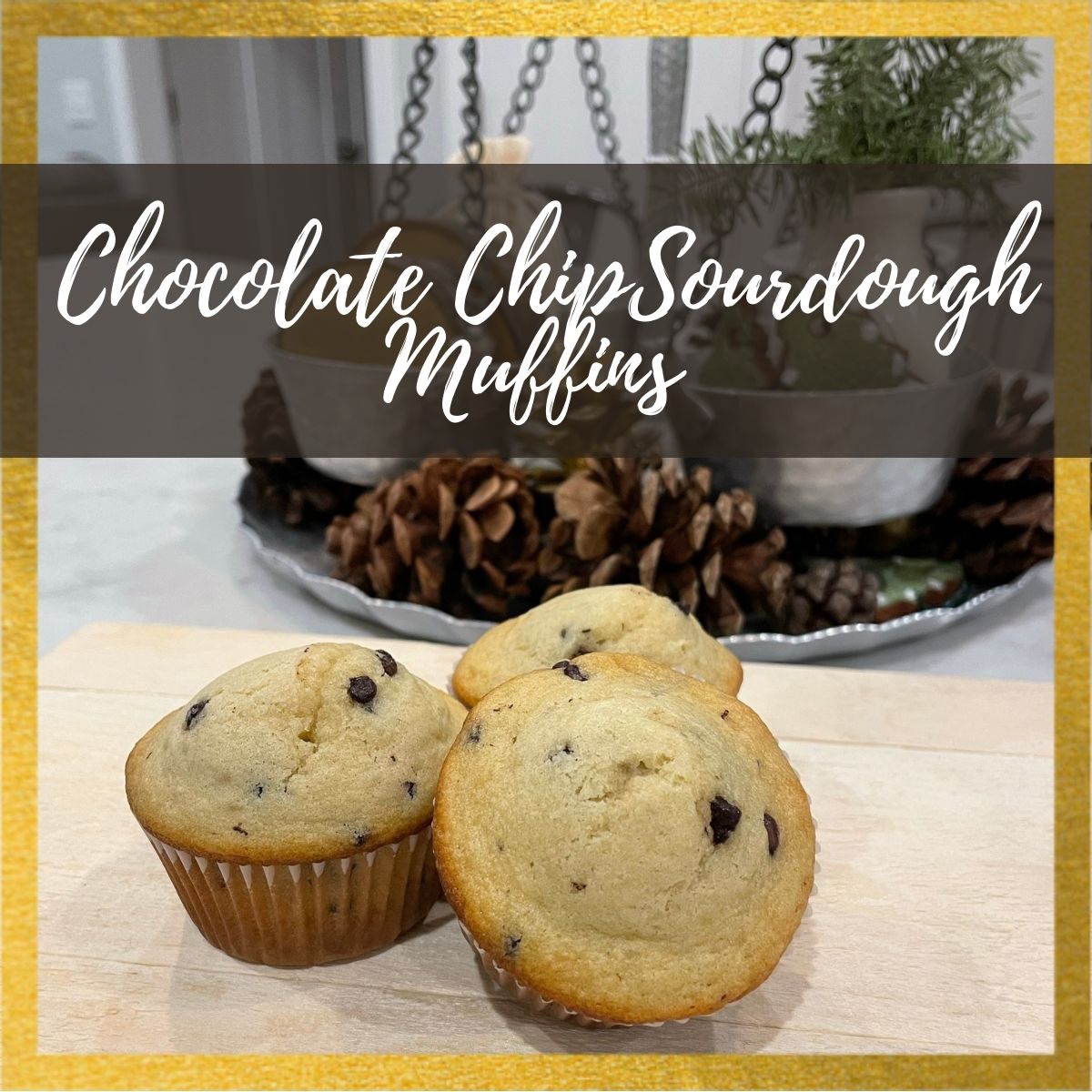 chocolate chip sourdough muffins